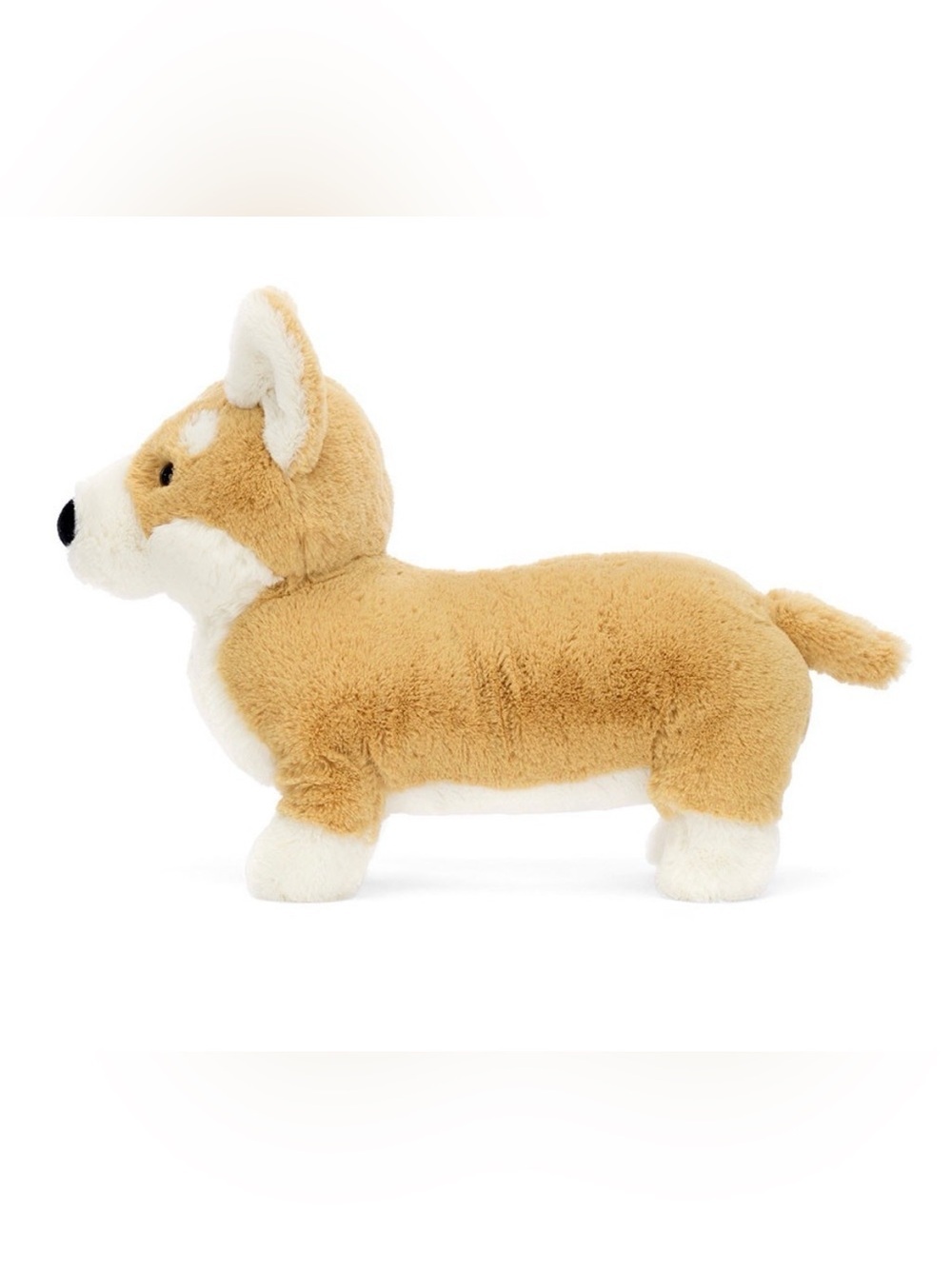 Jellycat Betty Corgi Plush Brown White Dog collectible toy Medium Authentic